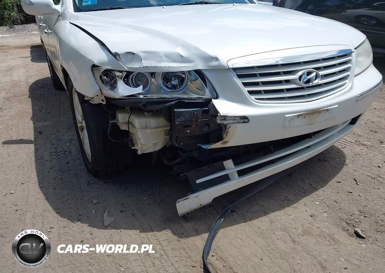 2008 Hyundai Azera Limited VIN:KMHFC46F28A310754 - 6