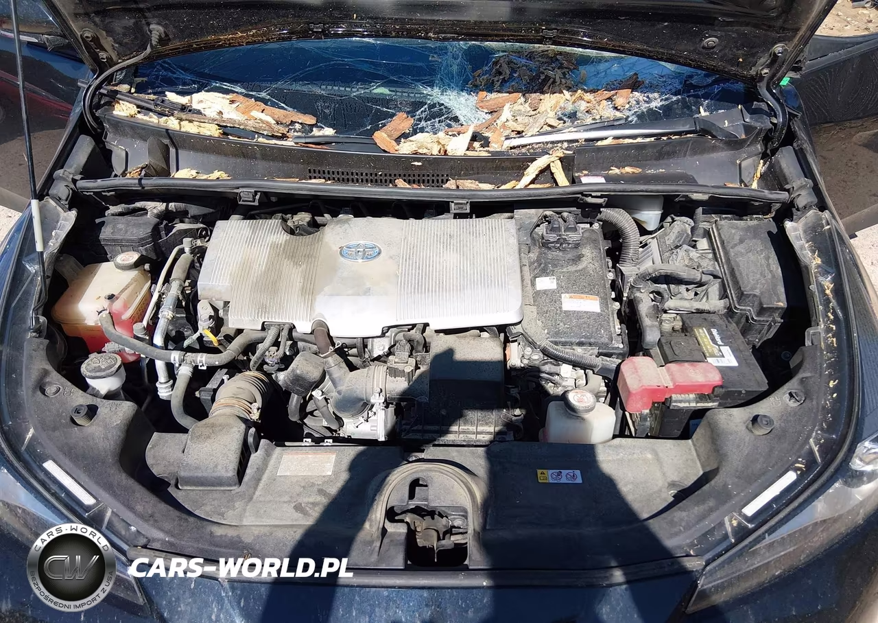 2019 Toyota Prius Le VIN:JTDKARFU6K3100240 - 10