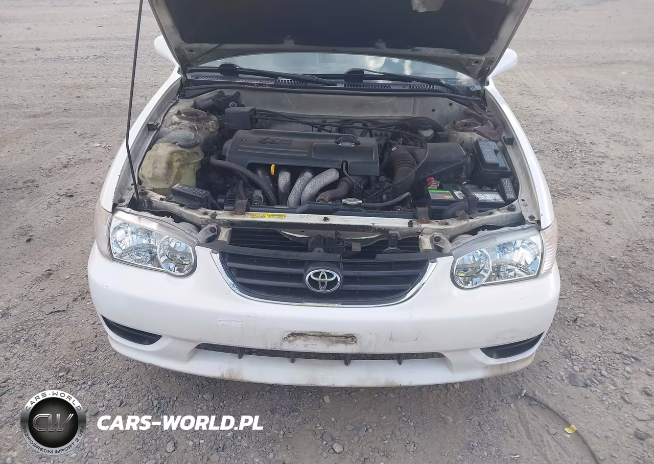 2001 Toyota Corolla Le VIN:2T1BR12E91C449214 - 10