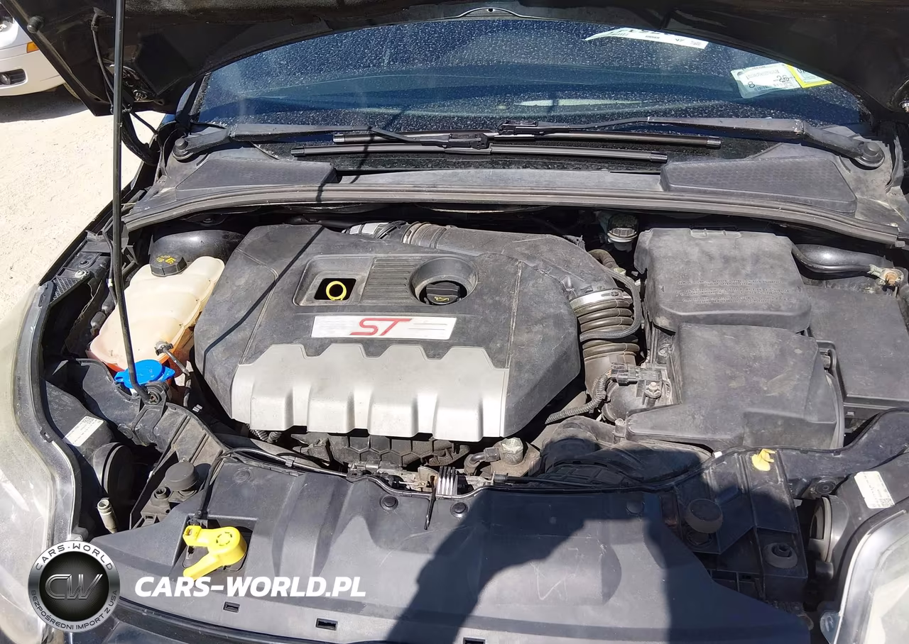 2013 Ford Focus St VIN:1FADP3L98DL368445 - 10