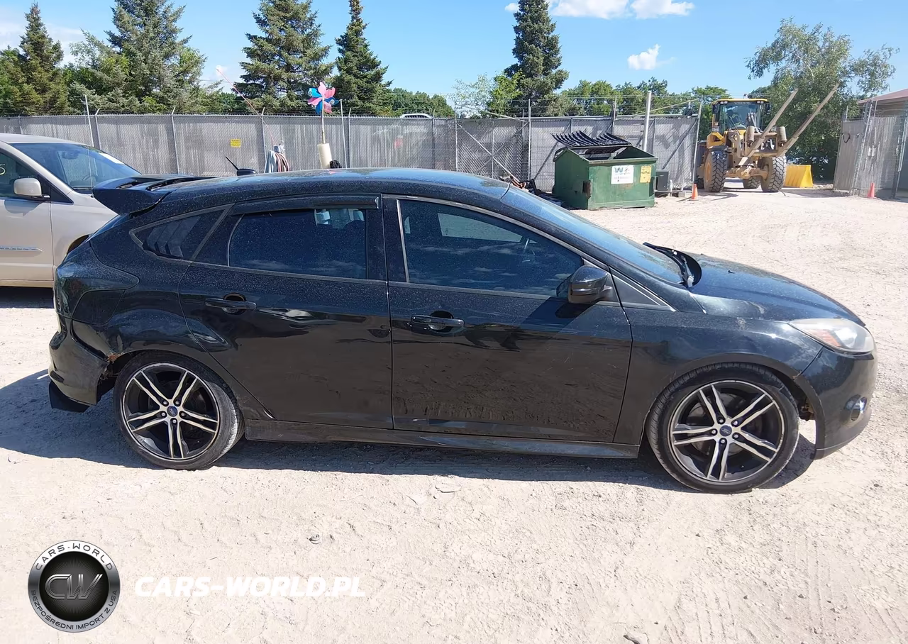 2013 Ford Focus St VIN:1FADP3L98DL368445 - 14