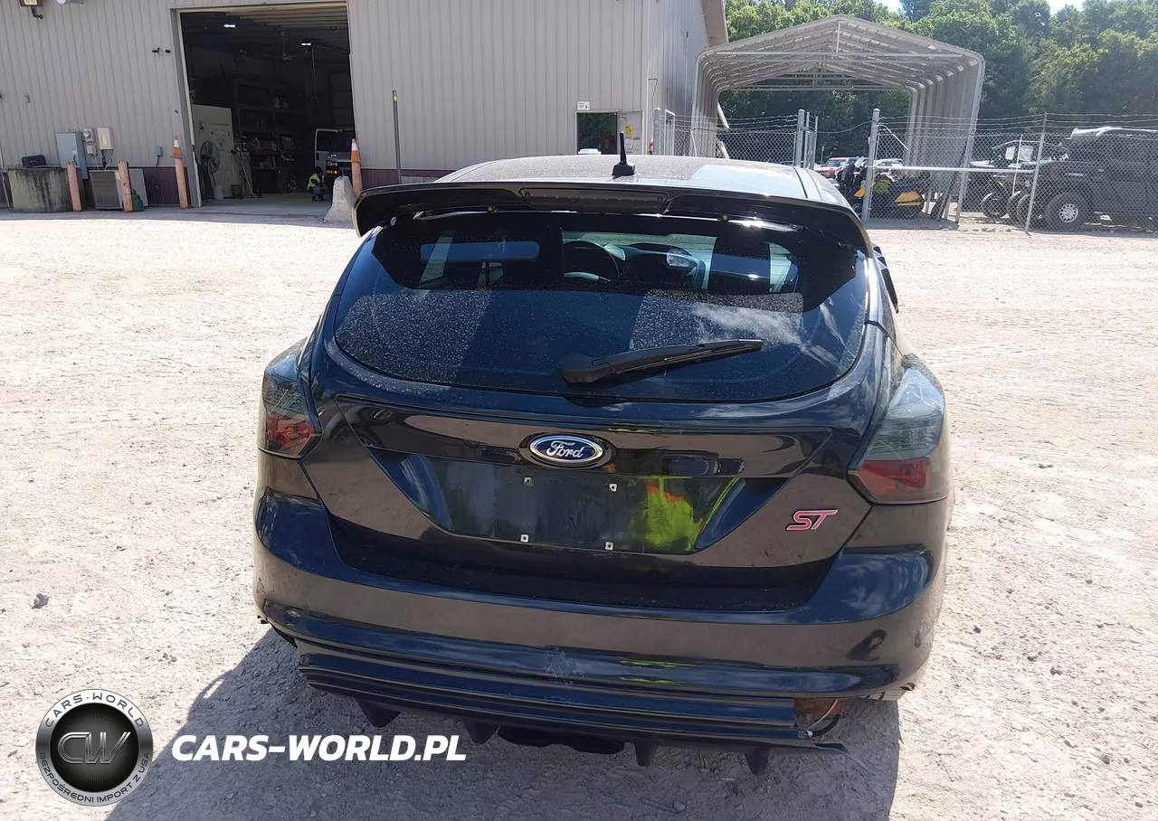 2013 Ford Focus St VIN:1FADP3L98DL368445 - 17