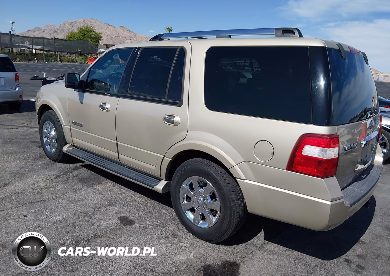 2007 Ford Expedition Limited VIN:1FMFU20587LA44595 - 3