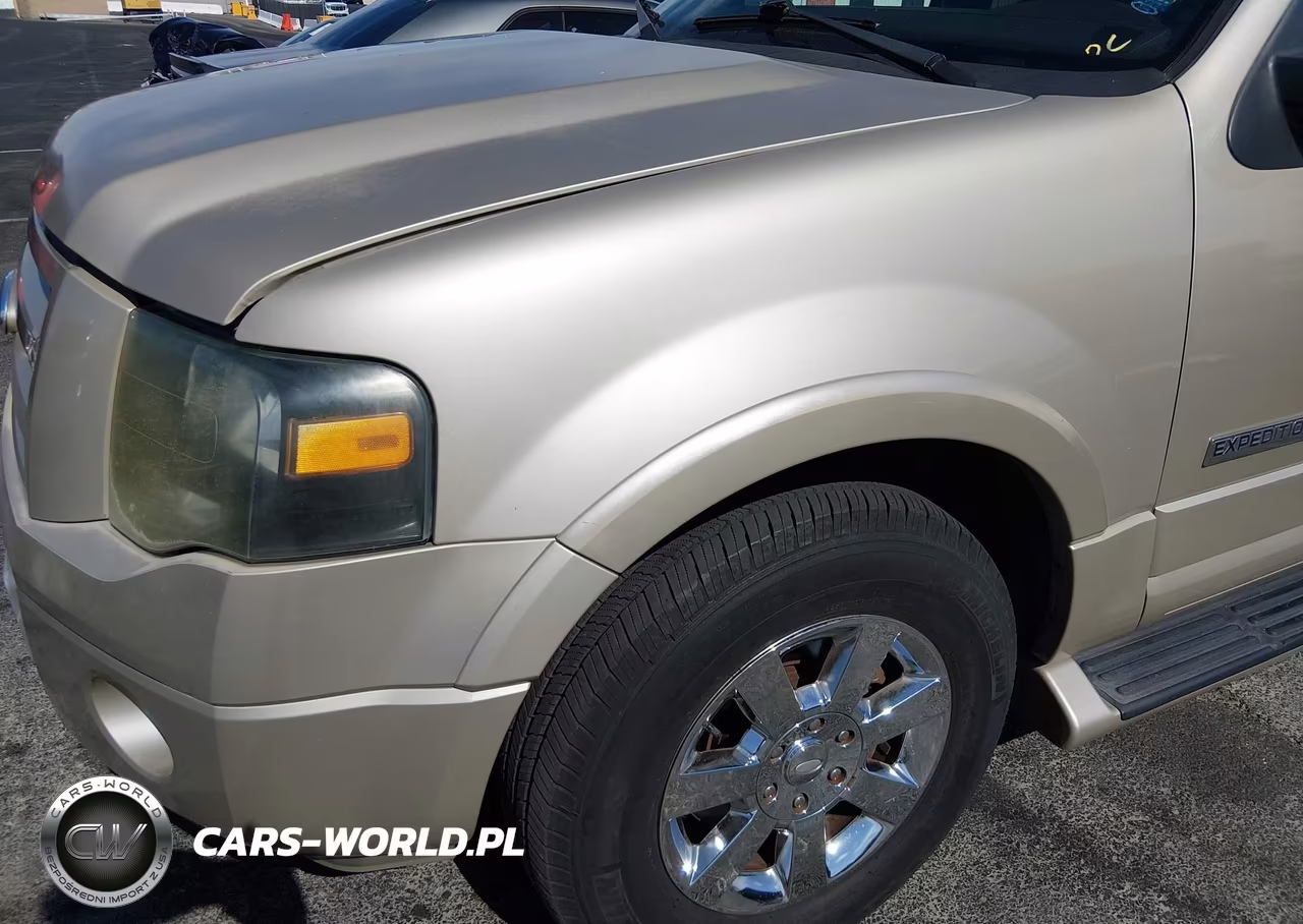 2007 Ford Expedition Limited VIN:1FMFU20587LA44595 - 6
