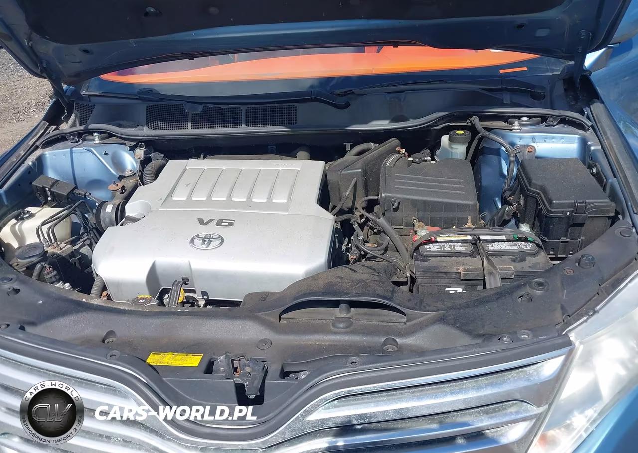 2009 Toyota Venza Base V6 VIN:4T3BK11A69U007060 - 10