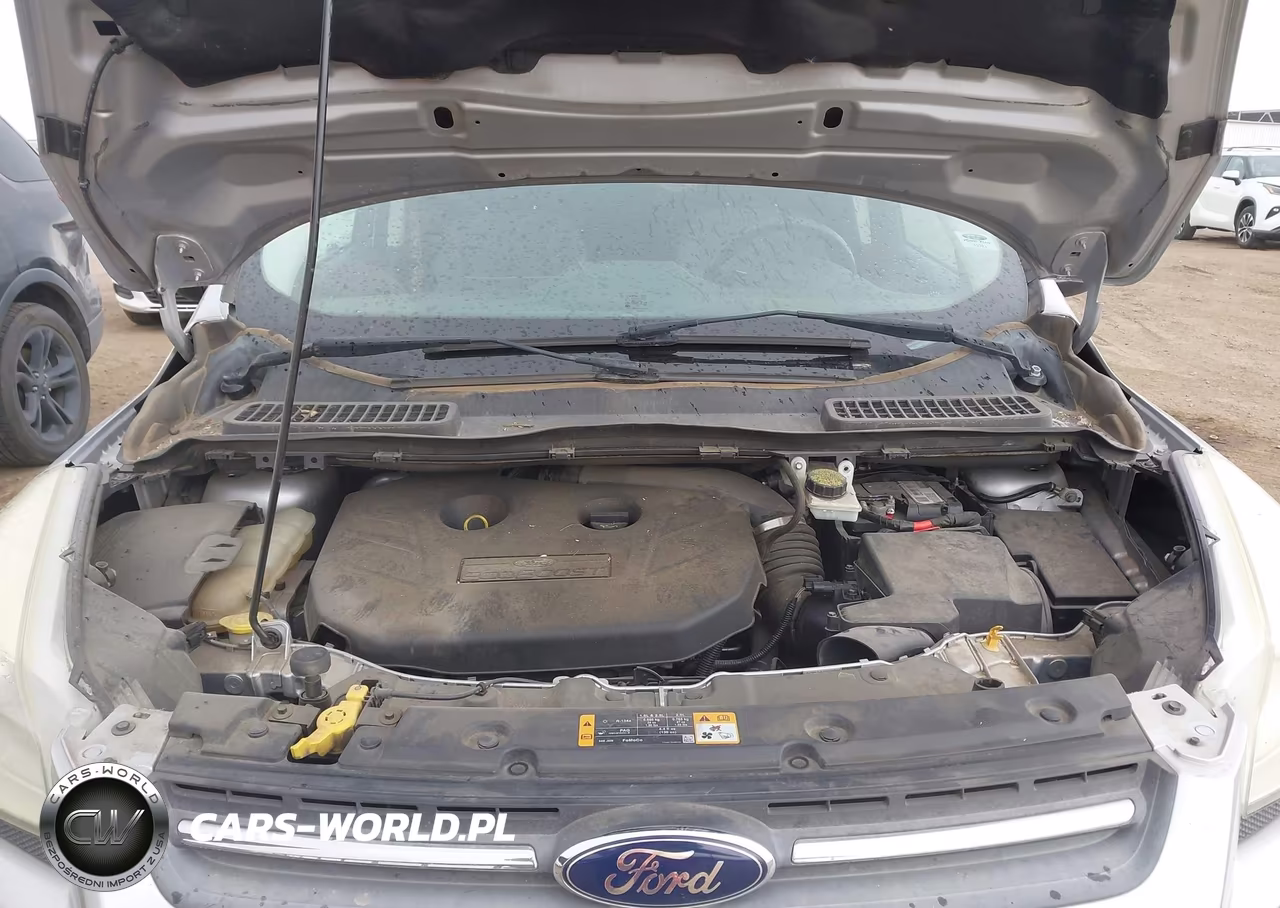 2013 Ford Escape Se VIN:1FMCU0G97DUD70071 - 10