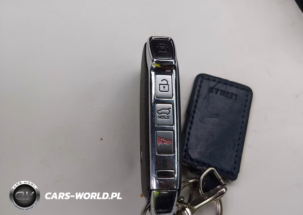 2020 Kia Telluride Sx VIN:5XYP5DHC3LG045678 - 11