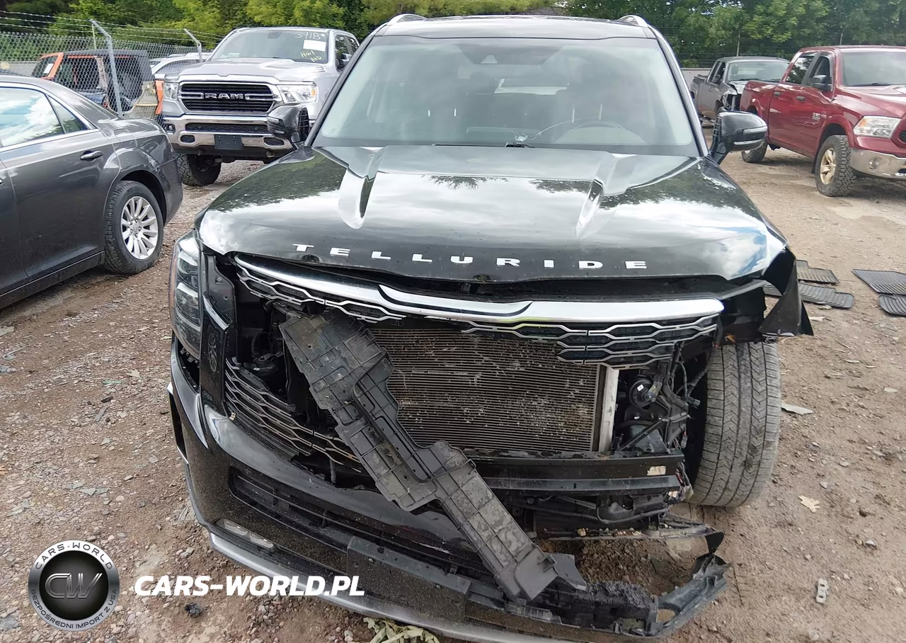 2020 Kia Telluride Sx VIN:5XYP5DHC3LG045678 - 13