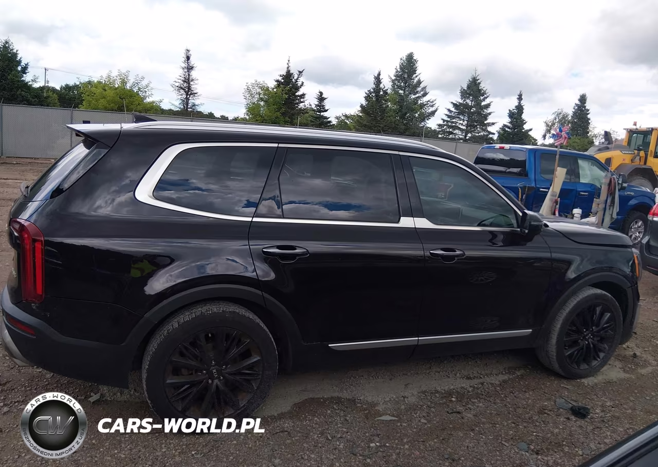 2020 Kia Telluride Sx VIN:5XYP5DHC3LG045678 - 14
