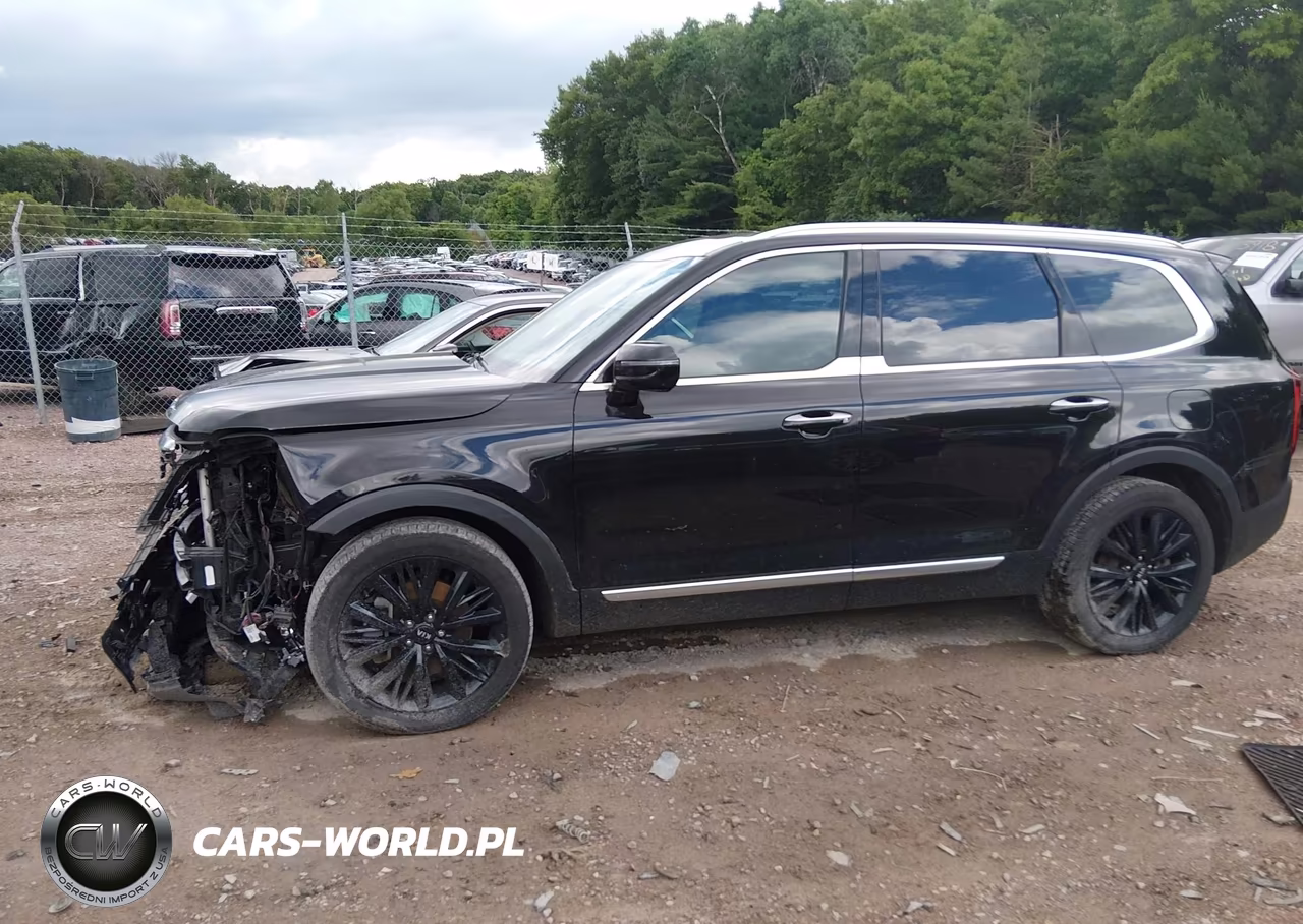 2020 Kia Telluride Sx VIN:5XYP5DHC3LG045678 - 15