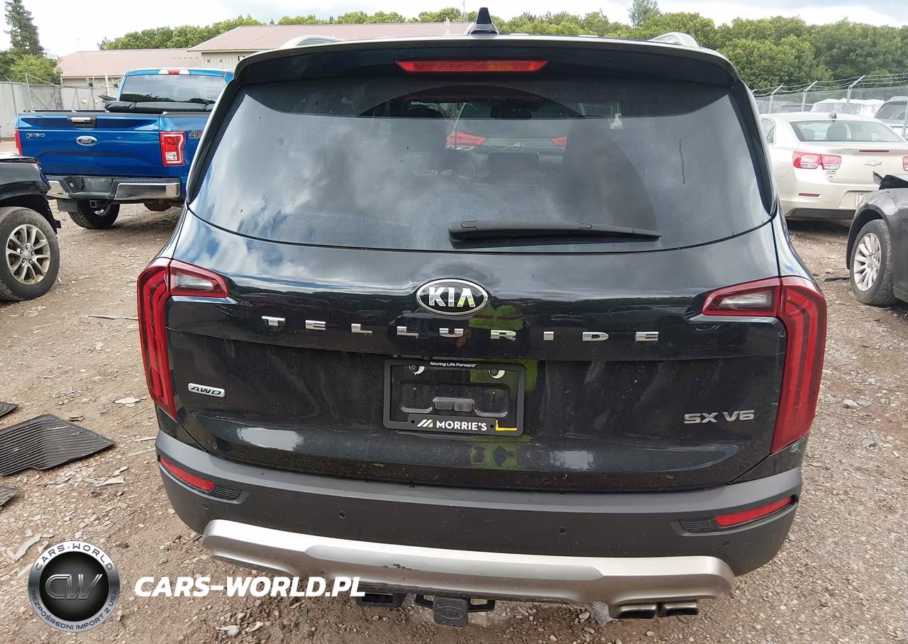 2020 Kia Telluride Sx VIN:5XYP5DHC3LG045678 - 17