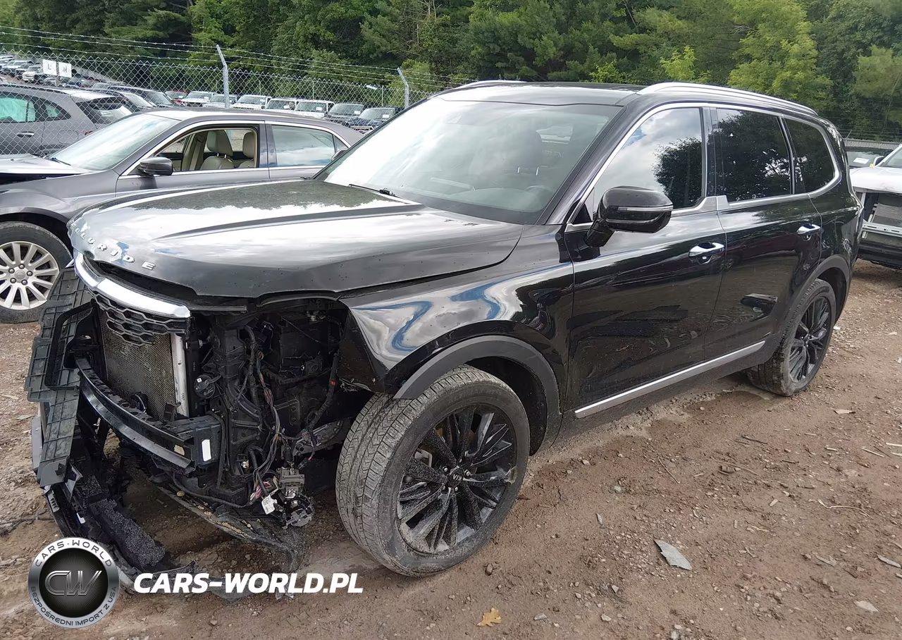 2020 Kia Telluride Sx VIN:5XYP5DHC3LG045678 - 2