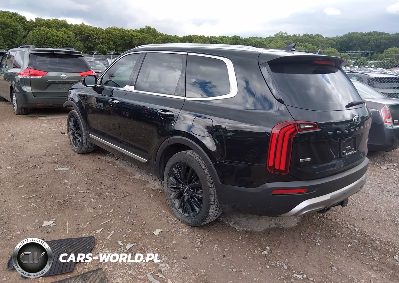 2020 Kia Telluride Sx VIN:5XYP5DHC3LG045678 - 3