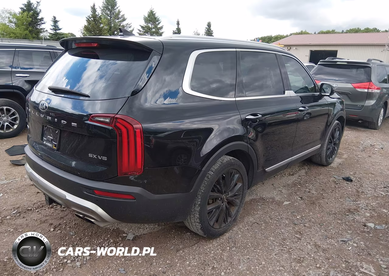 2020 Kia Telluride Sx VIN:5XYP5DHC3LG045678 - 4
