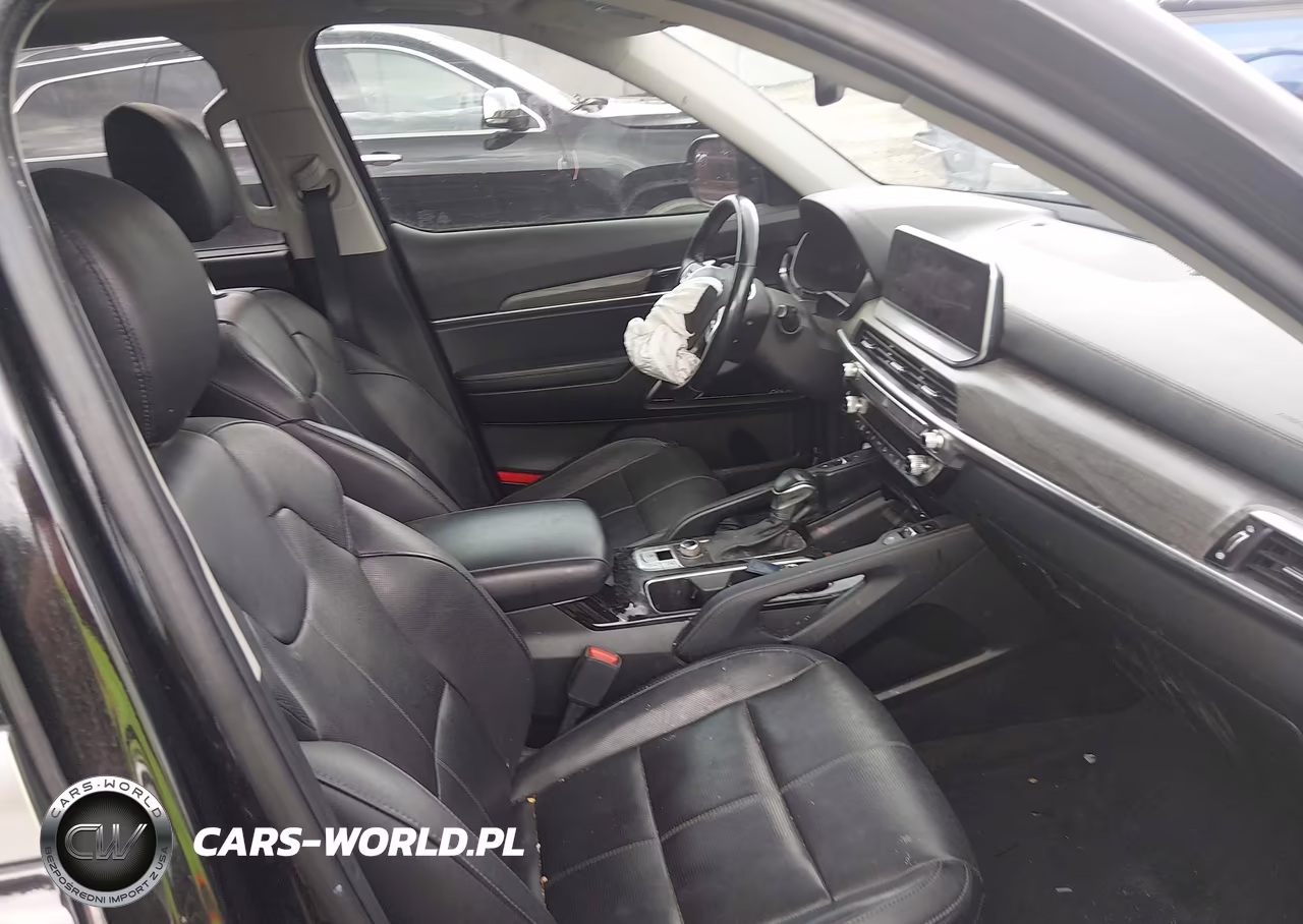 2020 Kia Telluride Sx VIN:5XYP5DHC3LG045678 - 5