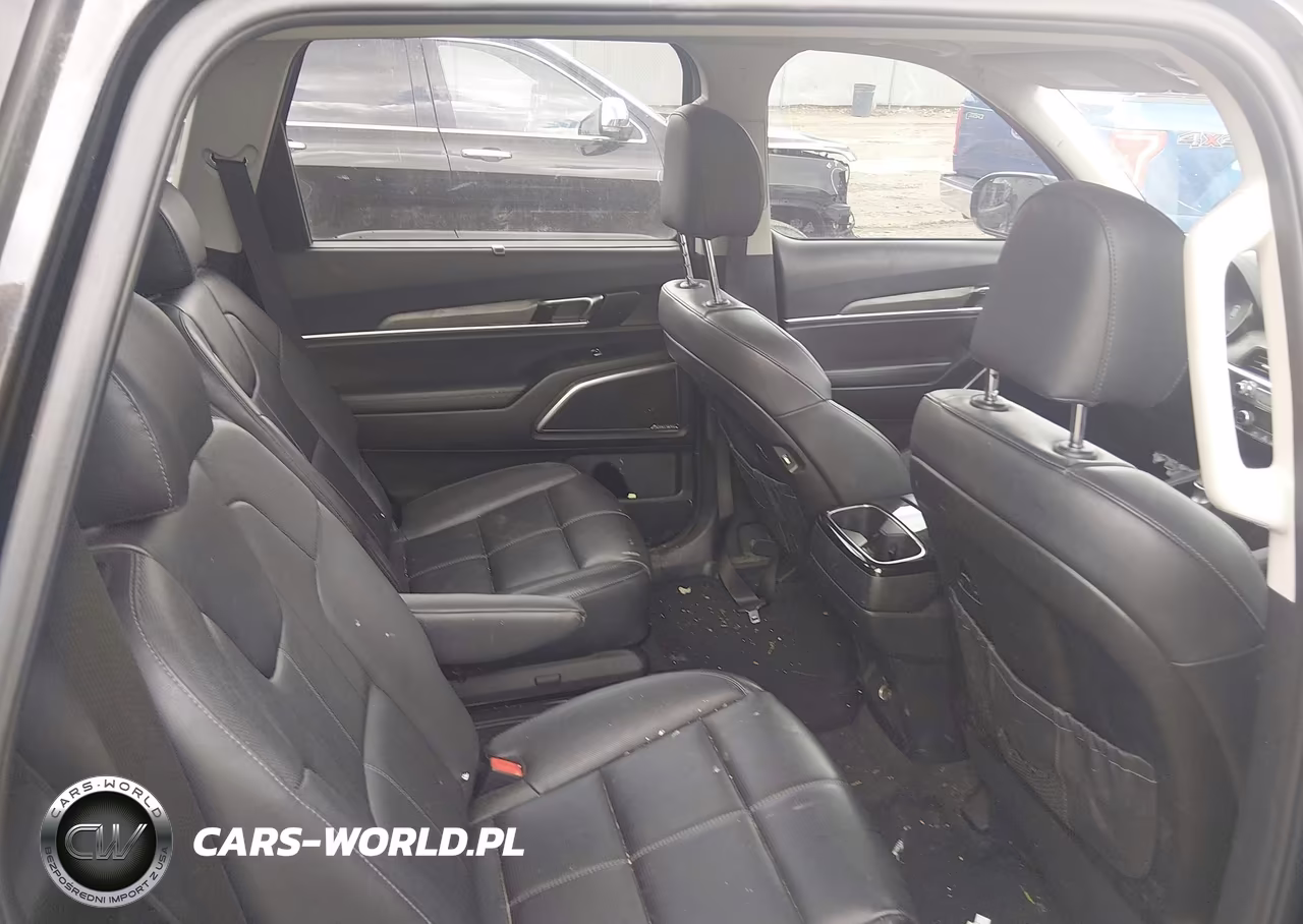 2020 Kia Telluride Sx VIN:5XYP5DHC3LG045678 - 8