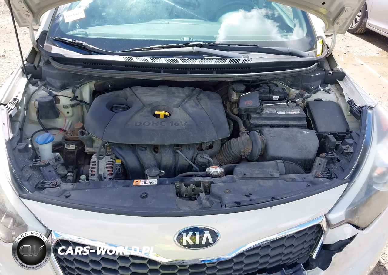 2015 Kia Forte Lx VIN:KNAFK4A67F5301288 - 10