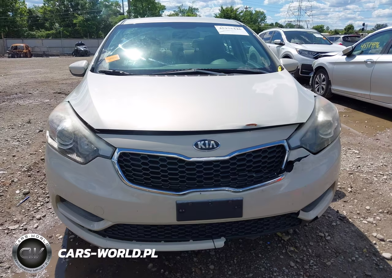2015 Kia Forte Lx VIN:KNAFK4A67F5301288 - 6