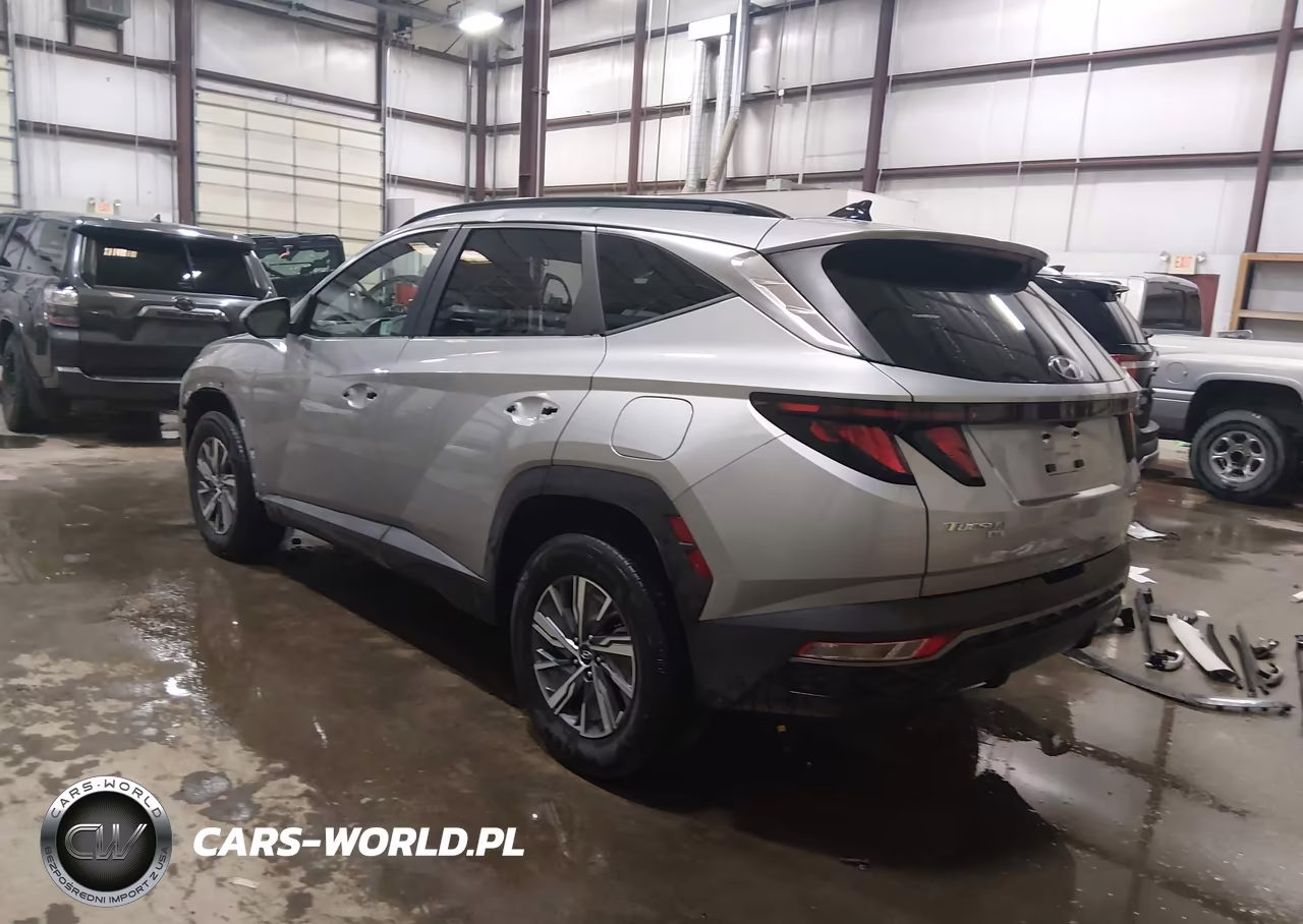 2024 Hyundai Tucson Hybrid Blue VIN:KM8JBCD11RU240419 - 15
