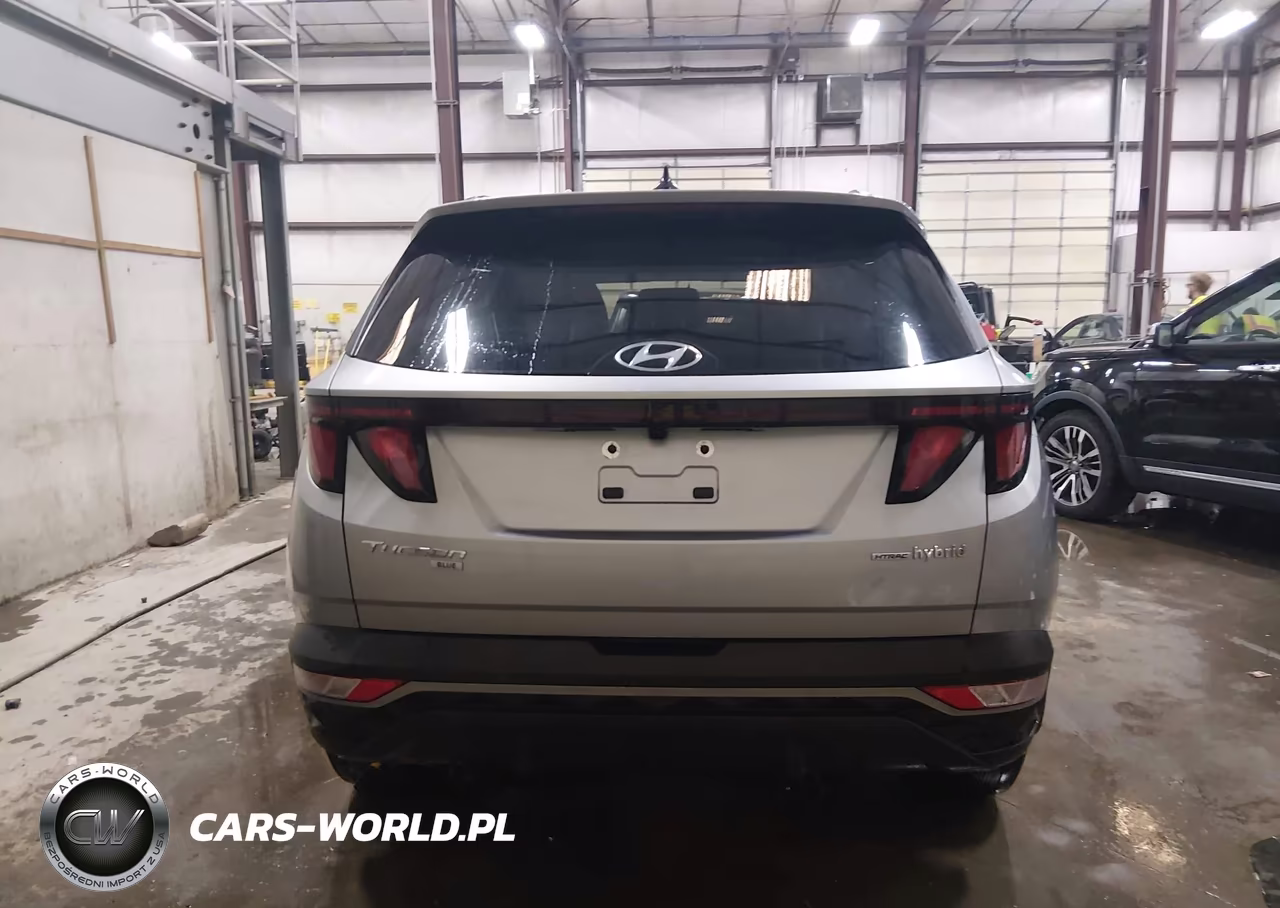 2024 Hyundai Tucson Hybrid Blue VIN:KM8JBCD11RU240419 - 17