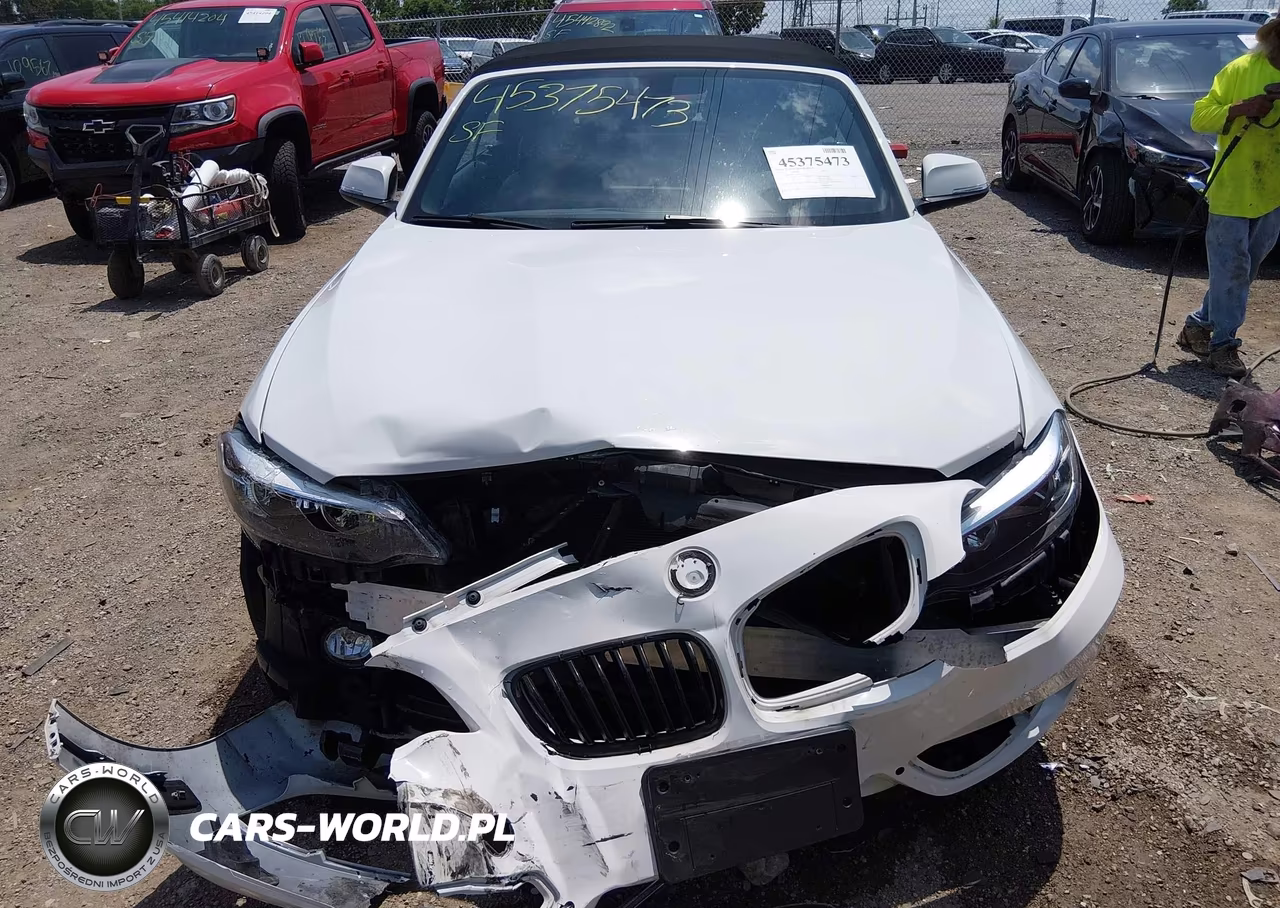 2017 BMW 230I xDrive VIN:WBA2M9C5XHV717252 - 12
