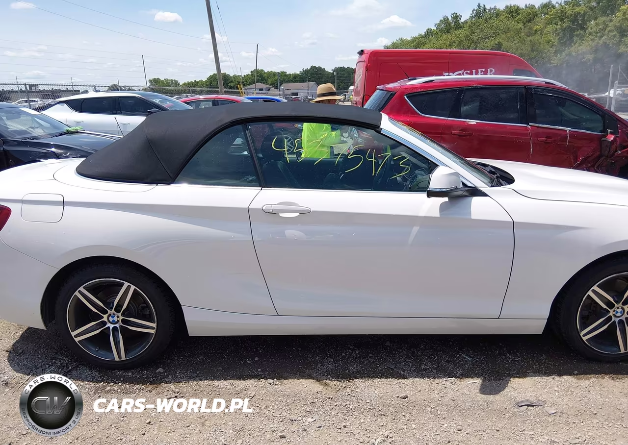 2017 BMW 230I xDrive VIN:WBA2M9C5XHV717252 - 13