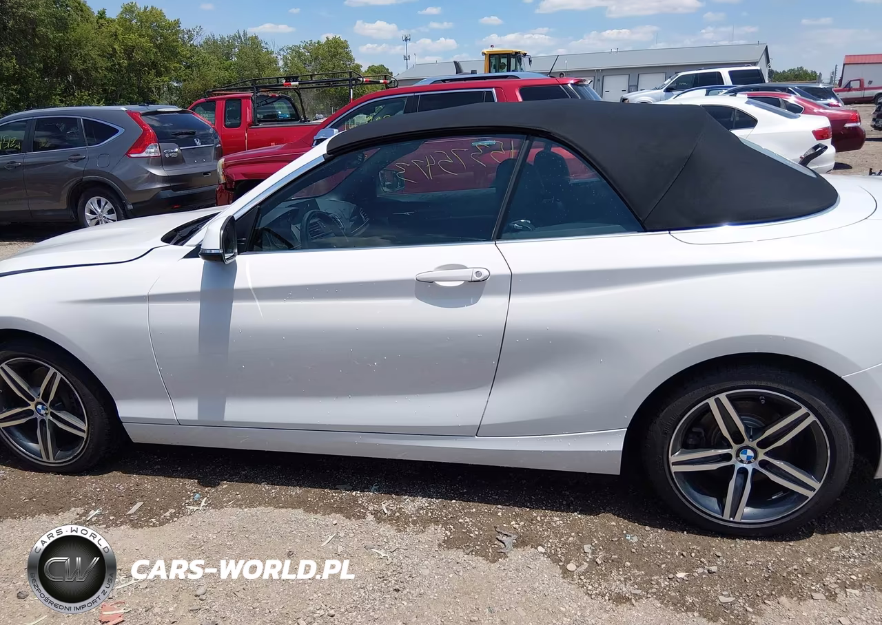 2017 BMW 230I xDrive VIN:WBA2M9C5XHV717252 - 14