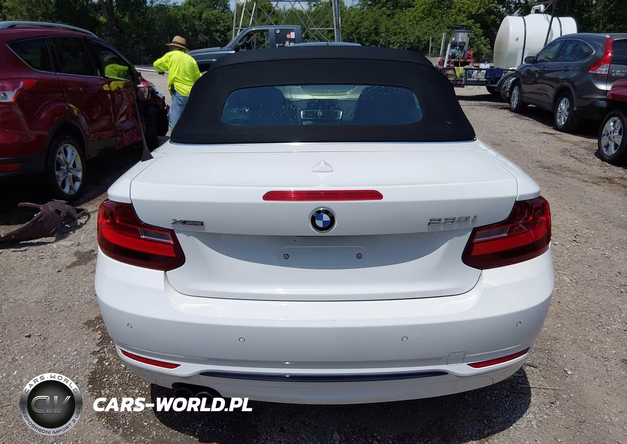 2017 BMW 230I xDrive VIN:WBA2M9C5XHV717252 - 16