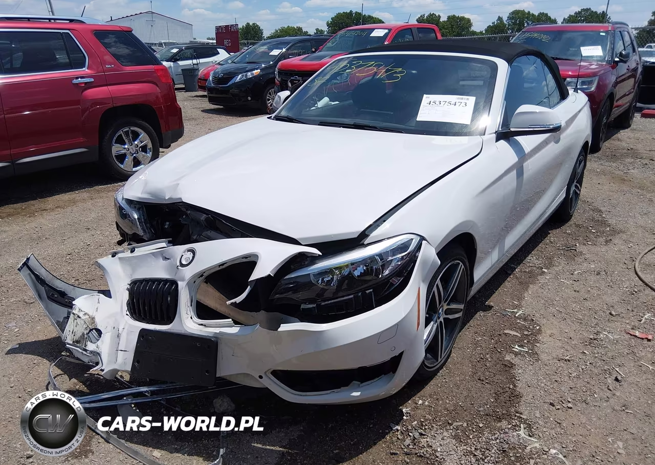 2017 BMW 230I xDrive VIN:WBA2M9C5XHV717252 - 2