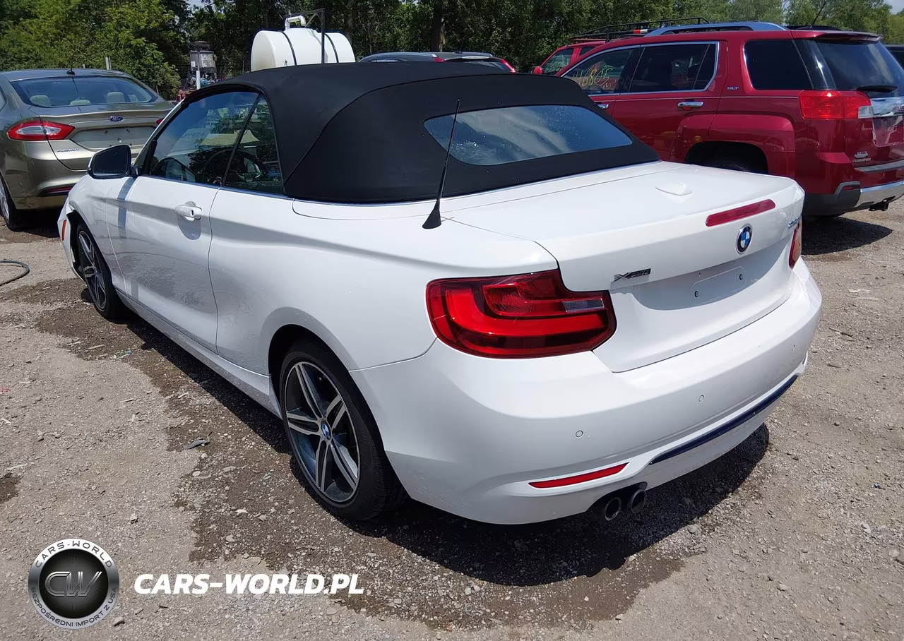 2017 BMW 230I xDrive VIN:WBA2M9C5XHV717252 - 3