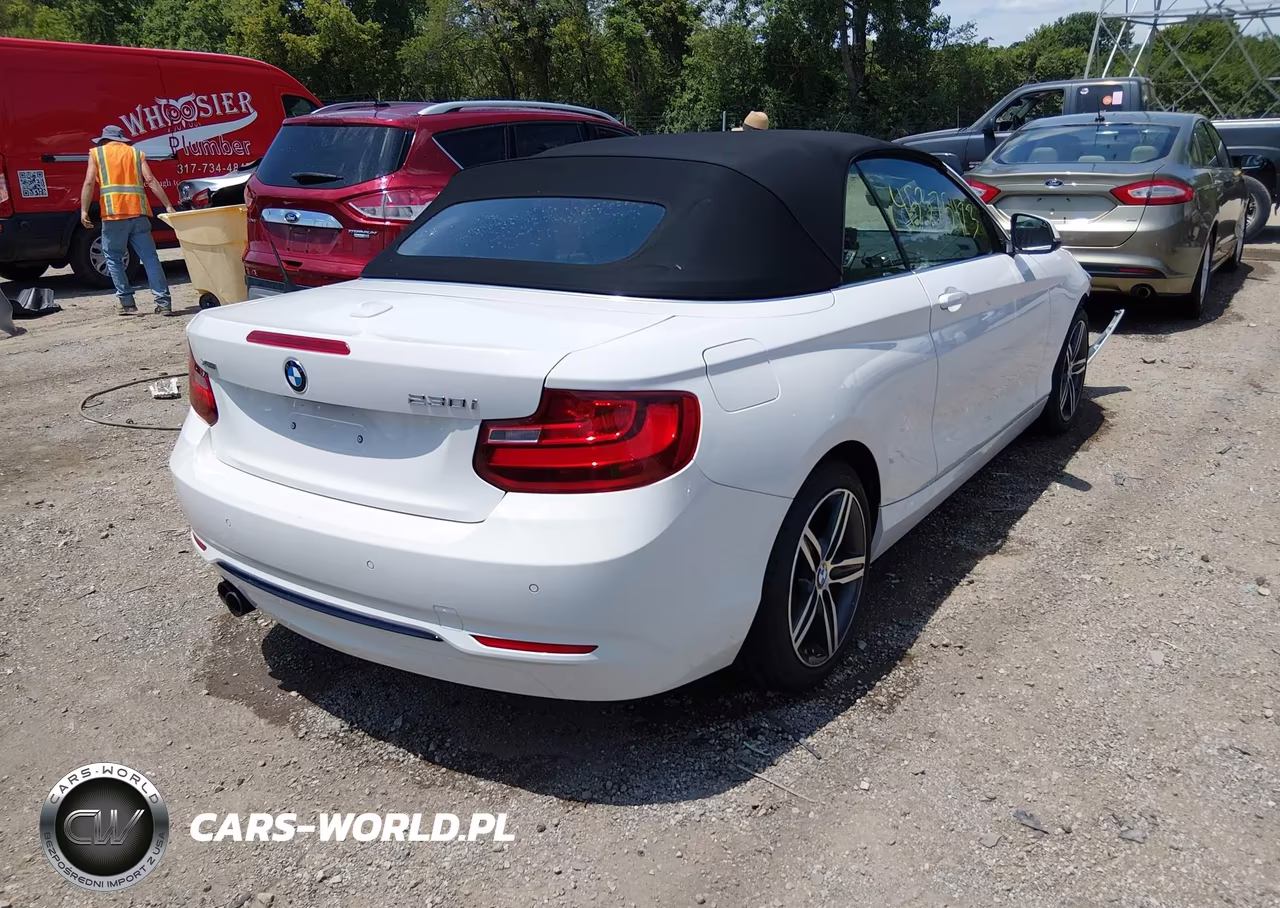 2017 BMW 230I xDrive VIN:WBA2M9C5XHV717252 - 4