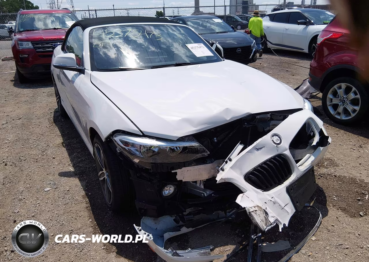 2017 BMW 230I xDrive VIN:WBA2M9C5XHV717252 - 6