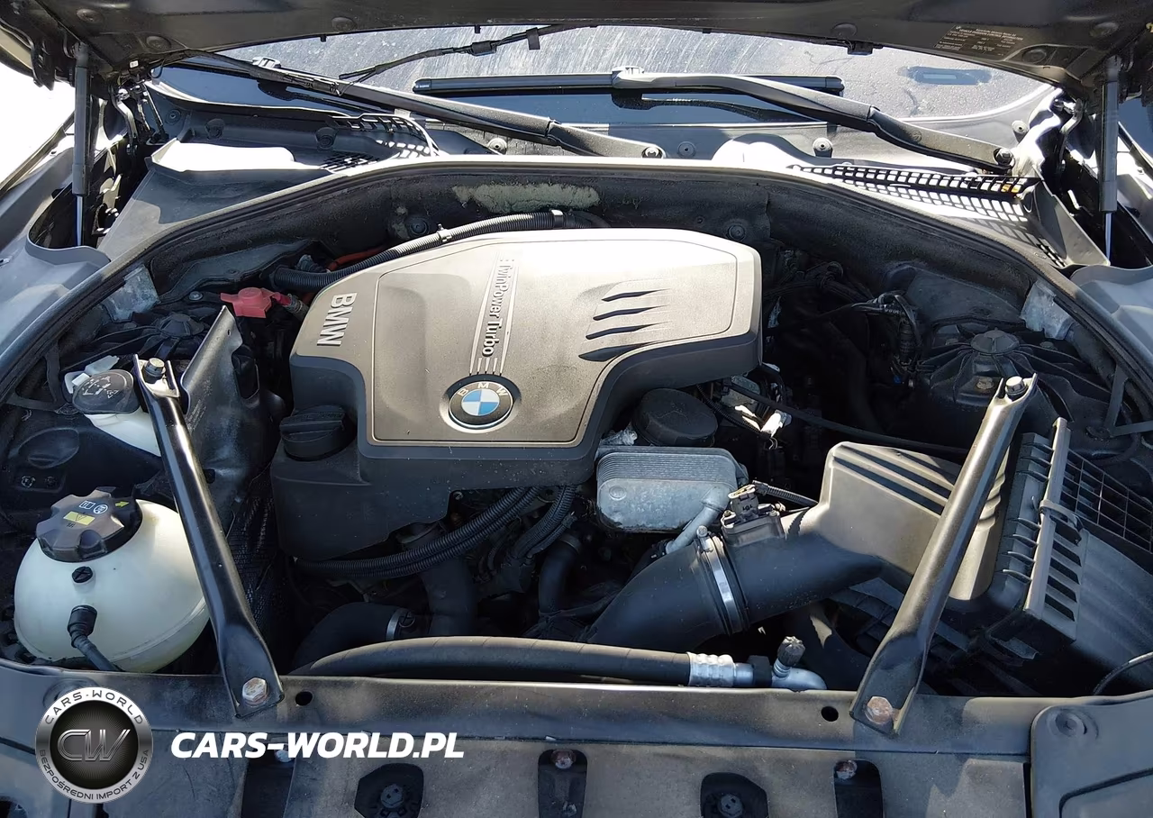 2013 BMW 528I xDrive VIN:WBAXH5C59DD109368 - 10