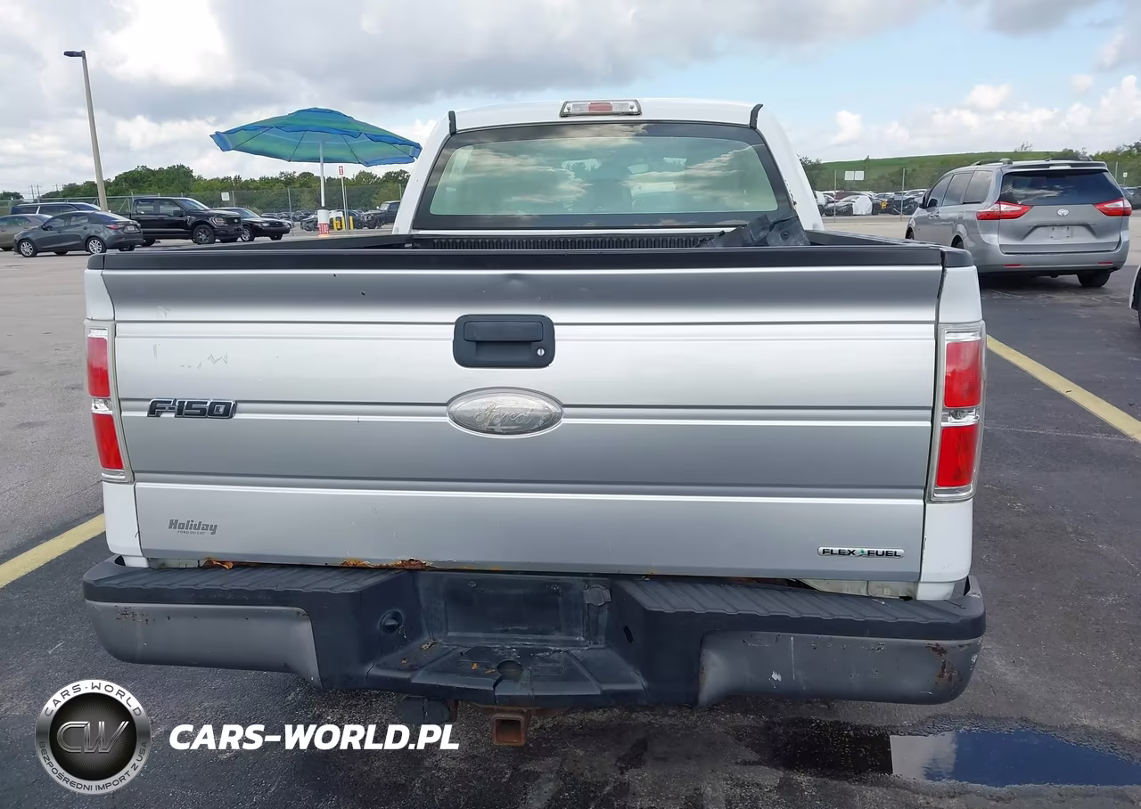 2011 Ford F-150 Xl VIN:1FTFW1CF3BFC15869 - 17