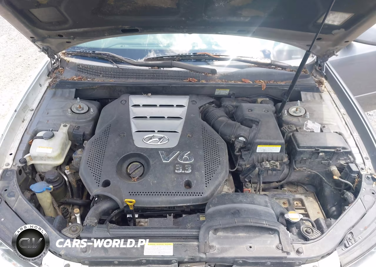 2006 Hyundai Sonata Gls V6-Lx V6 VIN:5NPEU46F06H152580 - 10