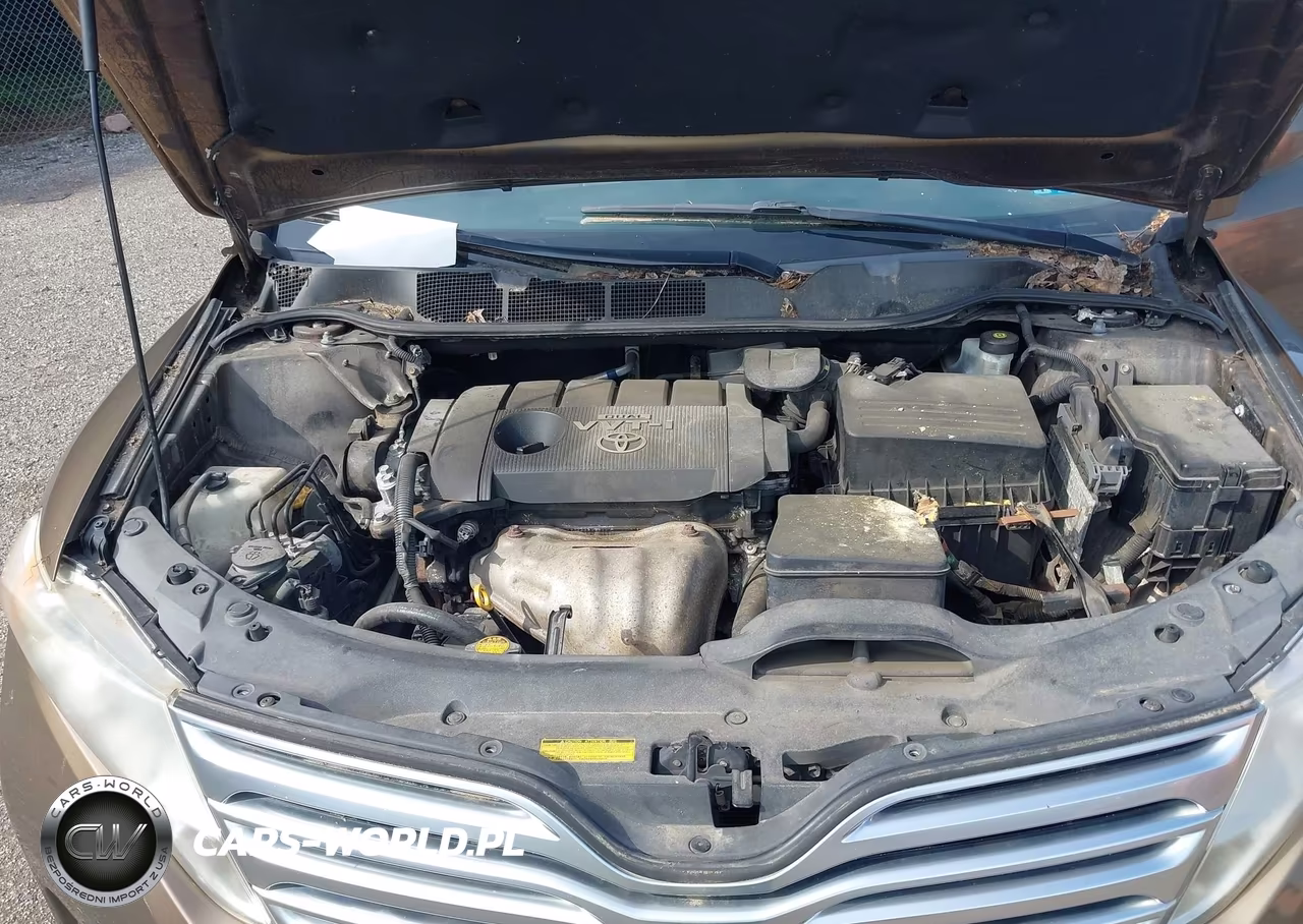 2009 Toyota Venza VIN:4T3ZE11A79U005226 - 10