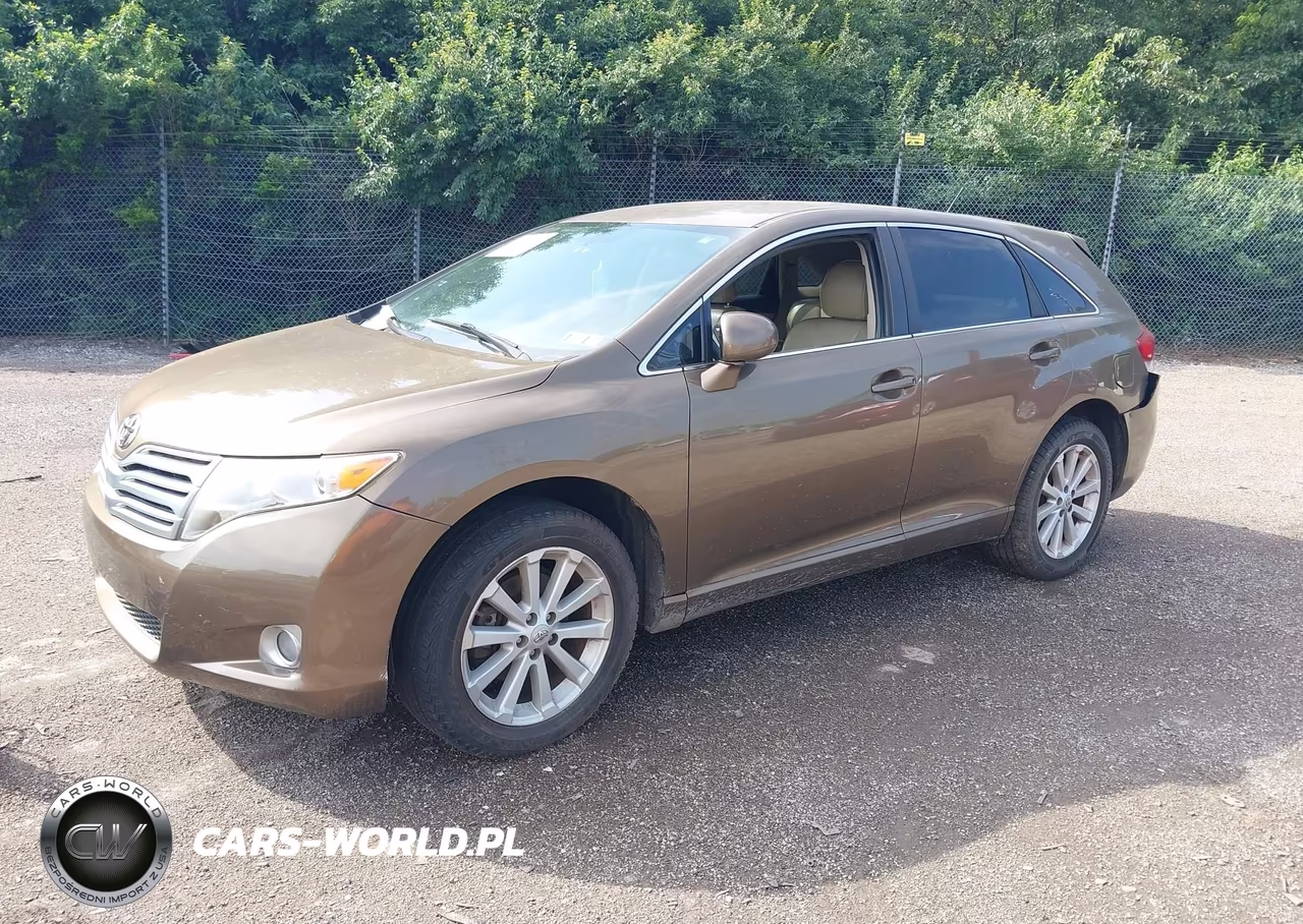 2009 Toyota Venza VIN:4T3ZE11A79U005226 - 2