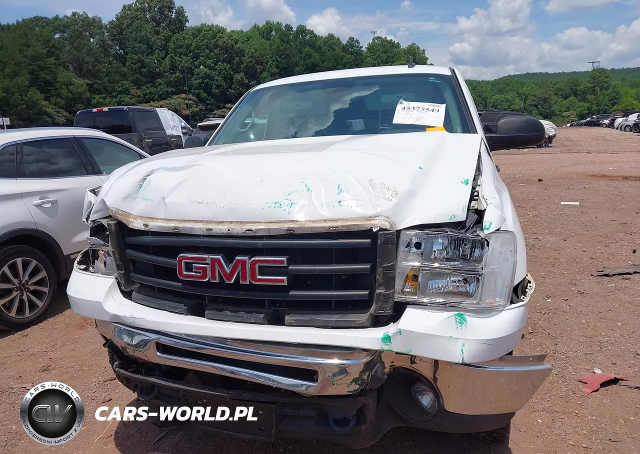 2009 GMC Sierra 1500 Sle VIN:1GTEK29049Z189579 - 12