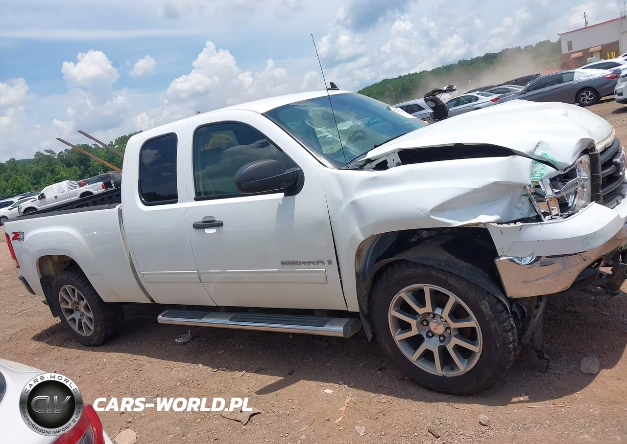 2009 GMC Sierra 1500 Sle VIN:1GTEK29049Z189579 - 13