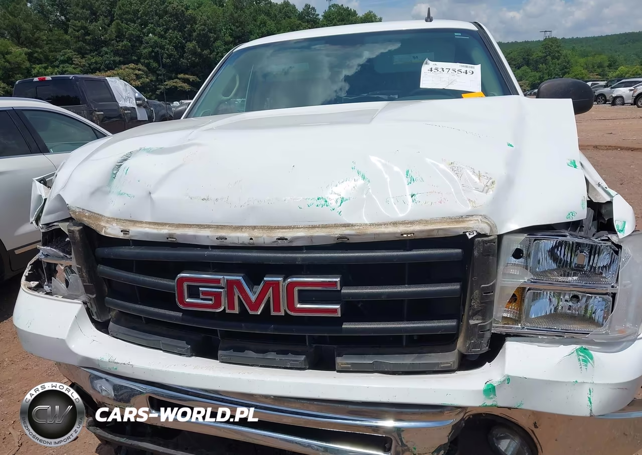 2009 GMC Sierra 1500 Sle VIN:1GTEK29049Z189579 - 6