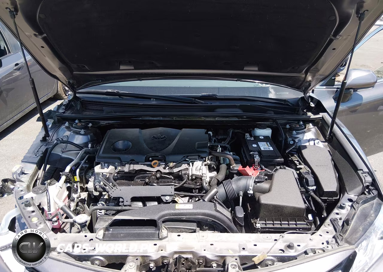 2019 Toyota Camry Xle VIN:4T1B11HK8KU805253 - 10