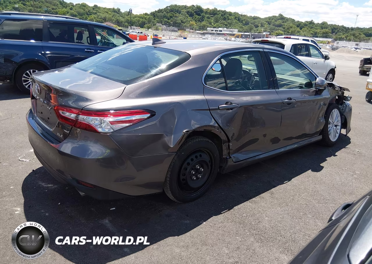 2019 Toyota Camry Xle VIN:4T1B11HK8KU805253 - 4