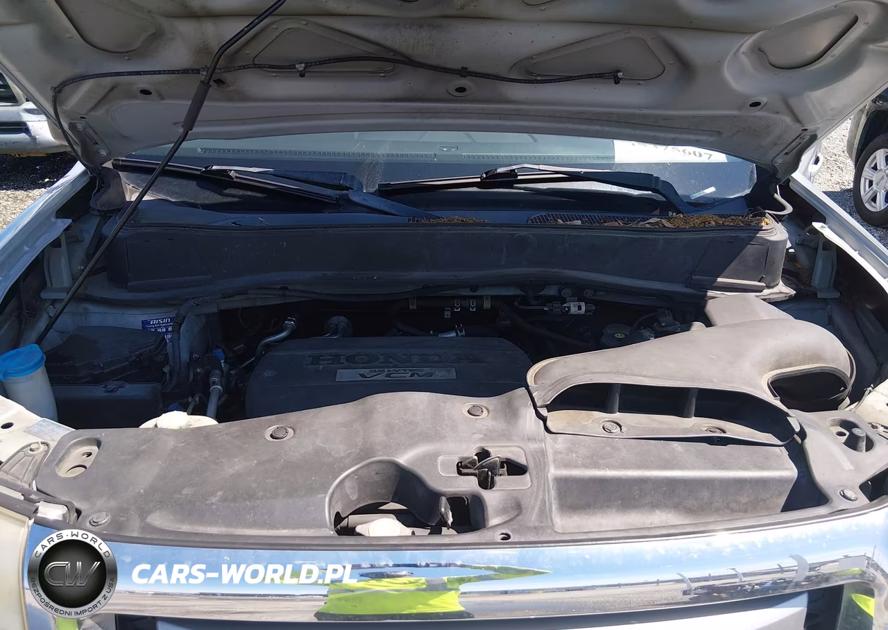2009 Honda Pilot Ex-L VIN:5FNYF38519B014135 - 10