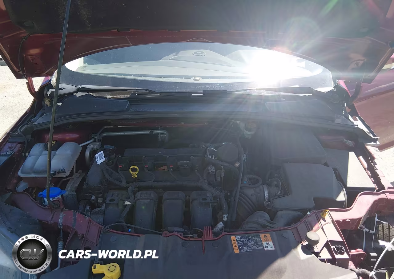 2014 Ford Focus Titanium VIN:1FADP3N26EL316183 - 10