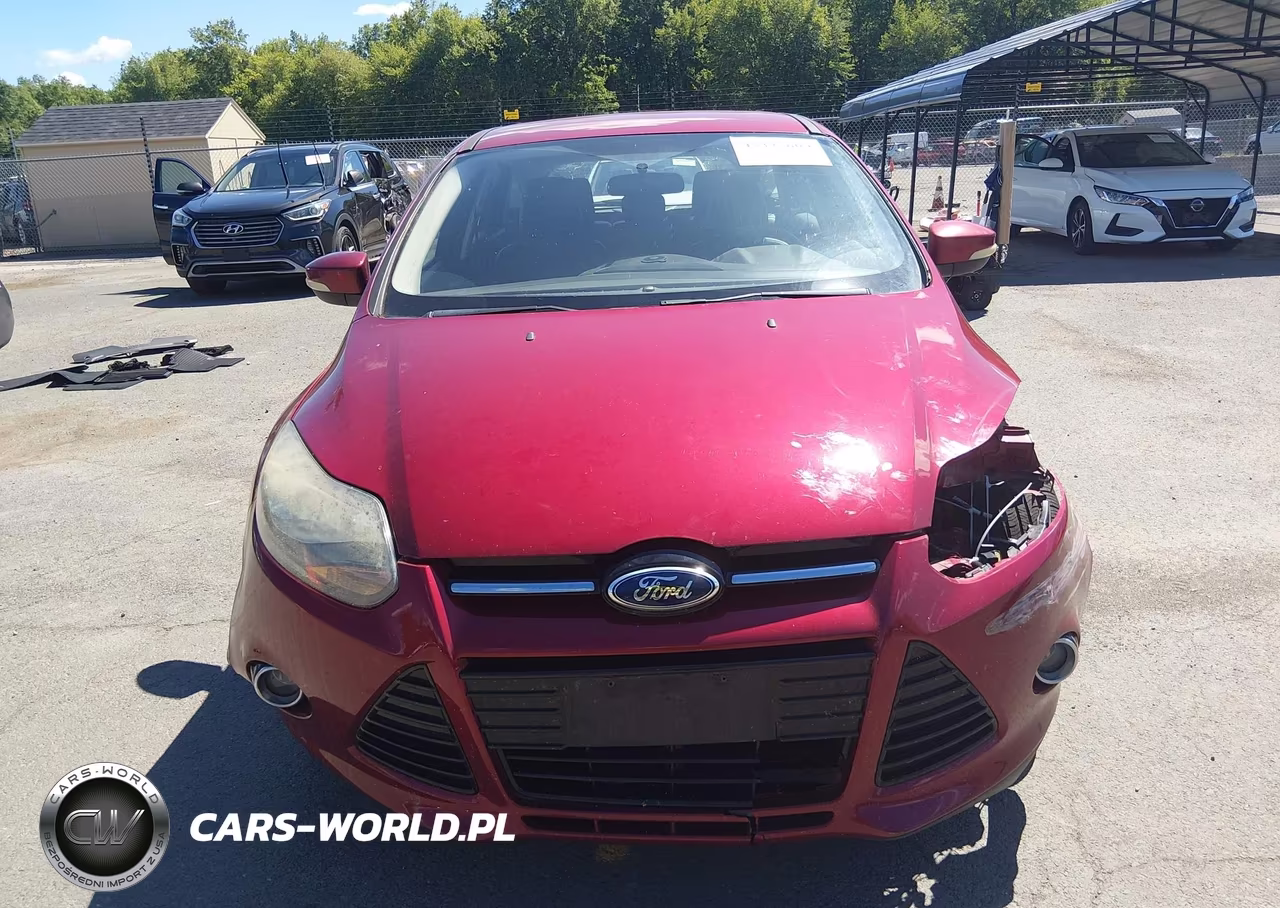 2014 Ford Focus Titanium VIN:1FADP3N26EL316183 - 12