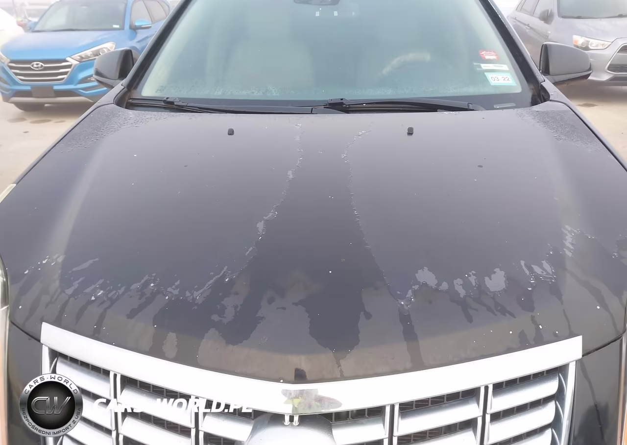 2013 Cadillac Srx Luxury Collection VIN:3GYFNCE37DS651604 - 6