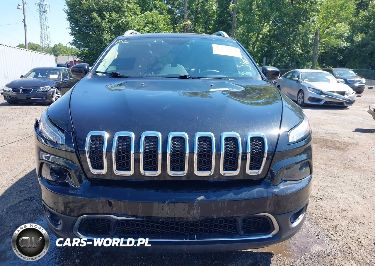 2016 Jeep Cherokee Limited VIN:1C4PJMDS2GW365432 - 12