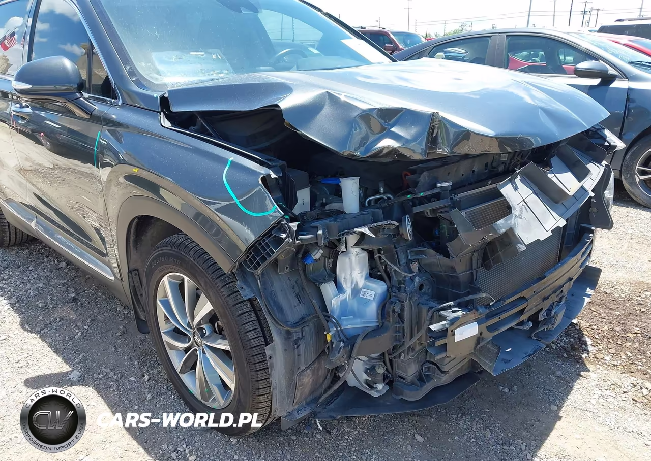 2020 Hyundai Santa Fe Sel VIN:5NMS33AD3LH184194 - 6