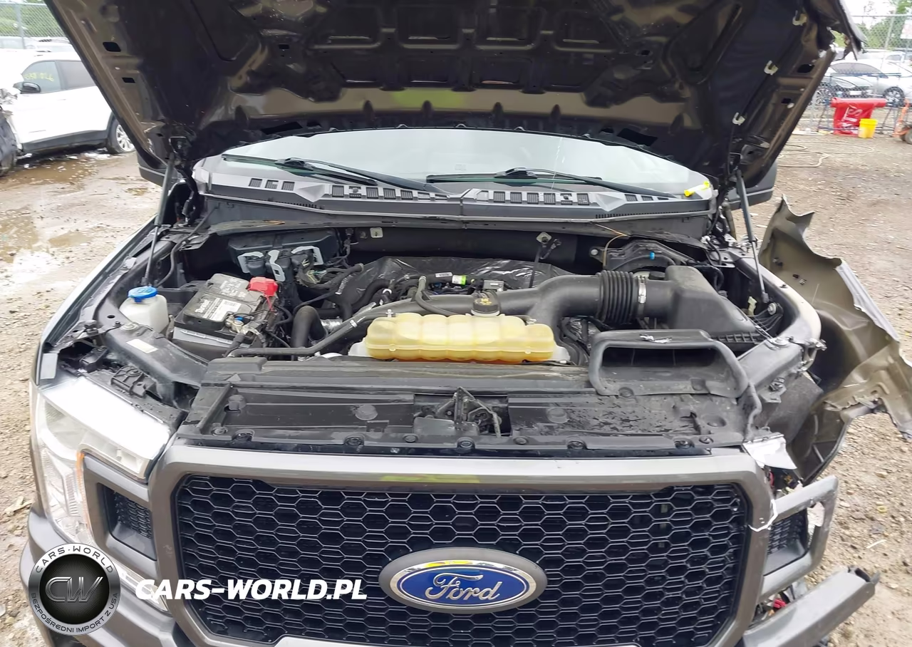 2019 Ford F-150 Xl VIN:1FTEW1EP0KFC05821 - 10