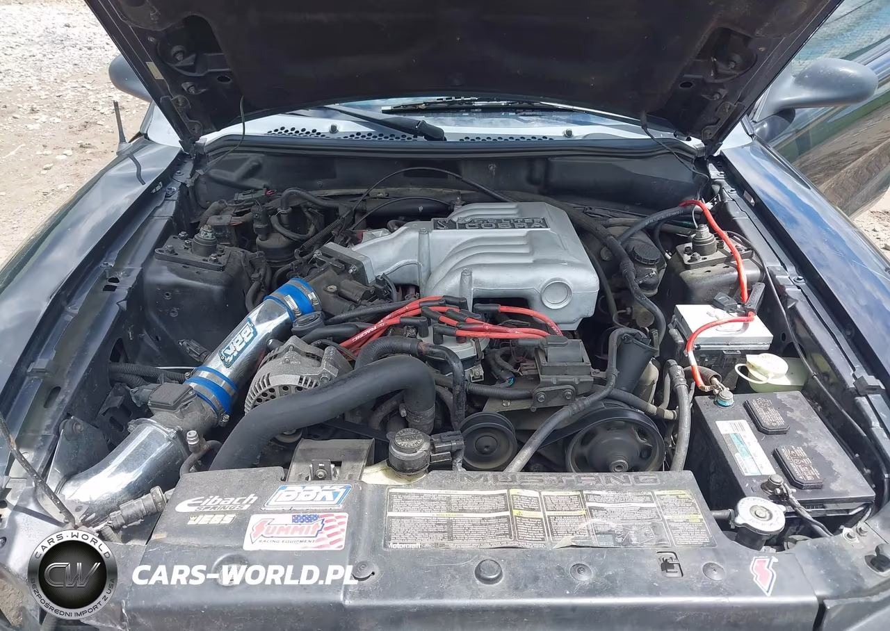 1995 Ford Mustang Cobra Svt VIN:1FALP45D0SF216383 - 10